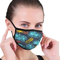 Mouth Masks for Dust Protection Anti Face Mask Washable Earloop Mask Pineapple