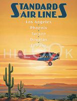 Hi-Look Microfiber Cleaning Cloth - Standard Airlines