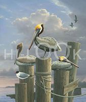 Hi-Look Microfiber Cleaning Cloth - Eastern Brown Pelicans Louisiana State Bird