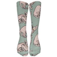 ETsocK Unisex Sphynx Cats Fashion Stocking Socks Athletic Sock Long Sock