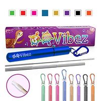 Collapsible Stainless Steel Straw (Blue)