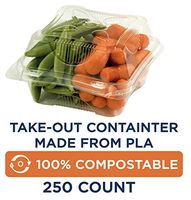 100% Compostable Takeout Containters by World Centric, Made from Ingeo PLA, Hinged Clamshell for Takeout Food, 6" x 6" x 3", Clear (Pack of 250)