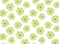 PAINTED DAISIES Recycled Tissue120~20"x30" Half Ream Tissue Prints (2 unit, 120 pack per unit.)