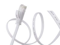 Cat 6 Ethernet Cable Internet Network Computer Patch Cord (100 ft, White)
