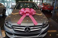 CarBowz Big Pink Car Bow, Giant 30" Bow, Non Scratch Magnet, Weather Resistant Vinyl