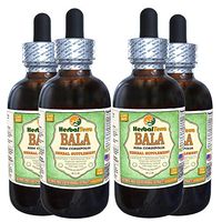 Bala (SIDA Cordifolia) Glycerite, Dried Leaves and Stems Alcohol-Free Liquid Extract (Brand Name: HerbalTerra, Proudly Made in USA) 4x4 fl.oz (4x120 ml)