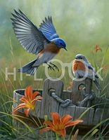 Hi-Look Microfiber Cleaning Cloth - Eastern Bluebird, New York State Bird