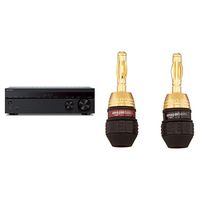 Sony STRDH590 5.2 Multi-Channel 4k HDR AV Receiver with Bluetooth & AmazonBasics Speaker Connector Banana Plugs - 6 Pairs