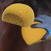 Intrepid International Half Moon Bath Sponge