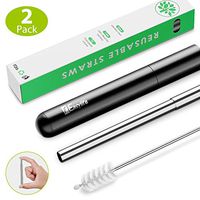 Reusable Straws, 1Easylife 2 Pack Collapsible 18/8 Stainless Steel Metal Straws with Portable Case and Telescopic Cleaning Brush Pocket Straw Keychain for Drinking Smoothie Travel, FDA Approved(Black)