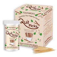 Quit Picks 300 Cinnamint Oil Toothpicks