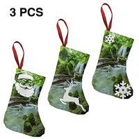 Christmas Stockings Suits Rainforest Funny for Funny Xmas Party