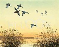 Hi-Look Microfiber Cleaning Cloth - Prairie Pothole