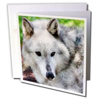 3dRose A Spiritual Photo of A Gray Wolfs Head Greeting Cards, 6" x 6", Set of 12 (gc_161013_2)