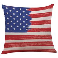 GBSELL America Flag Pillow Cover Pillowcase Sofa Party Home Decor (d)