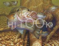 Hi-Look Microfiber Cleaning Cloth - Opportunity Knocks - Largemouth Bass