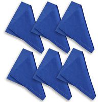 TERRAFIBER Ultra Premium Quality Microfiber Cleaning Cloth Packages for Tablets Cell Phones Eyeglasses Camera Lenses Jewelry and All Other LCD Surfaces (6 Blue)