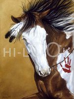 Hi-Look Microfiber Cleaning Cloth - War Pony