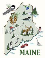 Hi-Look Microfiber Cleaning Cloth - Maine