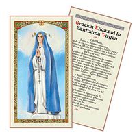 Oracion a La Santisima Virgen Del Pozo Tarjeta Plastificada Y Bendecida Por Su Santidad