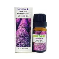 Chezaa 10 ML Fresh Summer 100% Pure Essential Oils Set - Pure Natural Flower Aroma for Skin Care Bath Massage Beauty(Tea Tree,Lemon,Peppermint,Rose,Lavender,Lemongrass) (E)