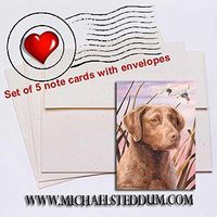 Michael Steddum Chesapeake Head Study III, Chesapeake Bay Retriever Note Card Set