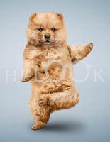 Hi-Look Microfiber Cleaning Cloth - Mario