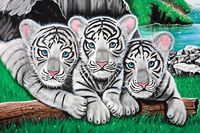 Zoo Animals 240 47b 6 Artwork Micro Fiber Cleaning Cloth