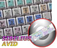 SIBELIUS GALAXY SERIES NEW KEYBOARD STICKERS SHORTCUTS 12x12 SIZE