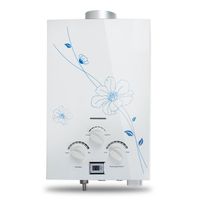 Zinnor 6L Electric Gas Water Heater Instant Portable Propane LP Hot Water Heater Heating Tankless Boiler W/Shower, LCD Temperature display, IPX4 Water-Proof Level,110V USA SHIPPING