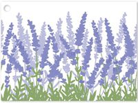Lavender Field Theme Gift Cards3-3/4x2-3/4" (30 unit, 6 pack per unit.)