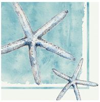 Cypress Home Cocktail Beverage Paper Napkins, Star Fish Sea Life, 40 ct
