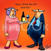 Hi-Look Microfiber Cleaning Cloth - till I'm hot