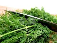 Dill Weed Capsules