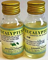 Eucalyptus Oil 100ml by Ashwin Pharma