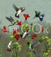 Hi-Look Microfiber Cleaning Cloth - Hummingbird Party