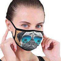 Dog with Reflecting Aviators Palm Trees Tropical Environment Cool Pet Animal Decorative Anti-Dust Earloop Mouth Masks for Women Men Kids Windproof Face and Nose Cover - Reusable & Washable