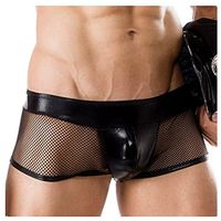 Black Men's Mesh Net Transparent Sexy Lingerie Erotic Underwear Flat Panty (M)