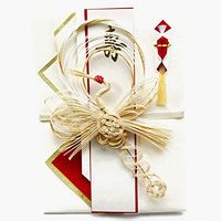 Frontia Shugi Bukuro Japanese Traditional Money Gift Envelope Wedding Washi Mizuhiki Handmade (Phoenixi Extreme)