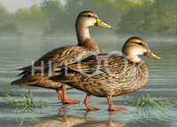 Hi-Look Microfiber Cleaning Cloth - Mottled Duck