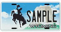 Custom Personalized Metal License Plate Your Name Your State - Choose from All 50 States (Wyoming, 6" x 12" Super Thick (.045"))