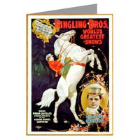 Circus Poster of Madame Castellos Daredevil Horseback Riding for The Ringling Brothers c1899 Notecard set