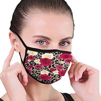 Mouth Masks for Dust Protection Anti Face Mask Washable Earloop Mask