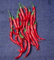 125 Seed of Long Red Slim Cayenne - Hot Peppers