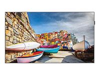 Samsung PM55H/US 1080p Full HD LED-Backlit LCD Flat Panel Display 55" Black (PM55H/US)