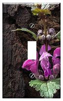 Switch Plate Single Toggle - Spring Dead Nettle Wild Herb Nettle Wild Flower