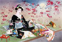 Hi-Look Microfiber Cleaning Cloth - Benizakura