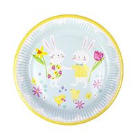 Easter Plates Easter Paper Plates Matching Easter Napkins Available 9 Inch Dinner Plates Hop to It Pk 16