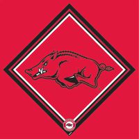 University of Arkansas Micro-Fiber Cleaning Cloth