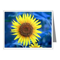 Note Card Young Sunflower